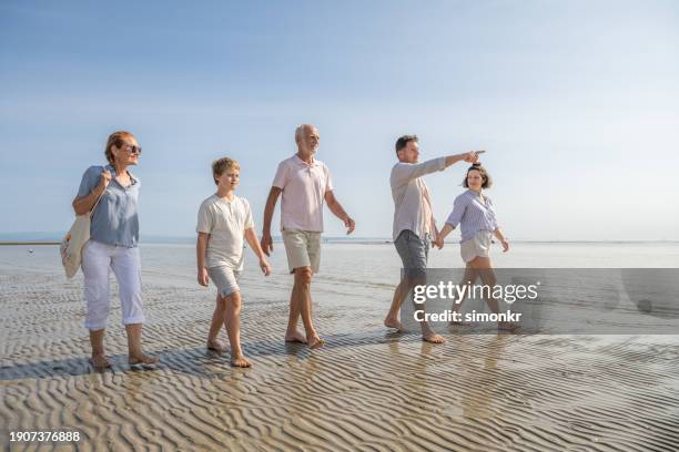 multi generation family walking on beach - happy smiling people multi generations stock pictures, royalty-free photos & images