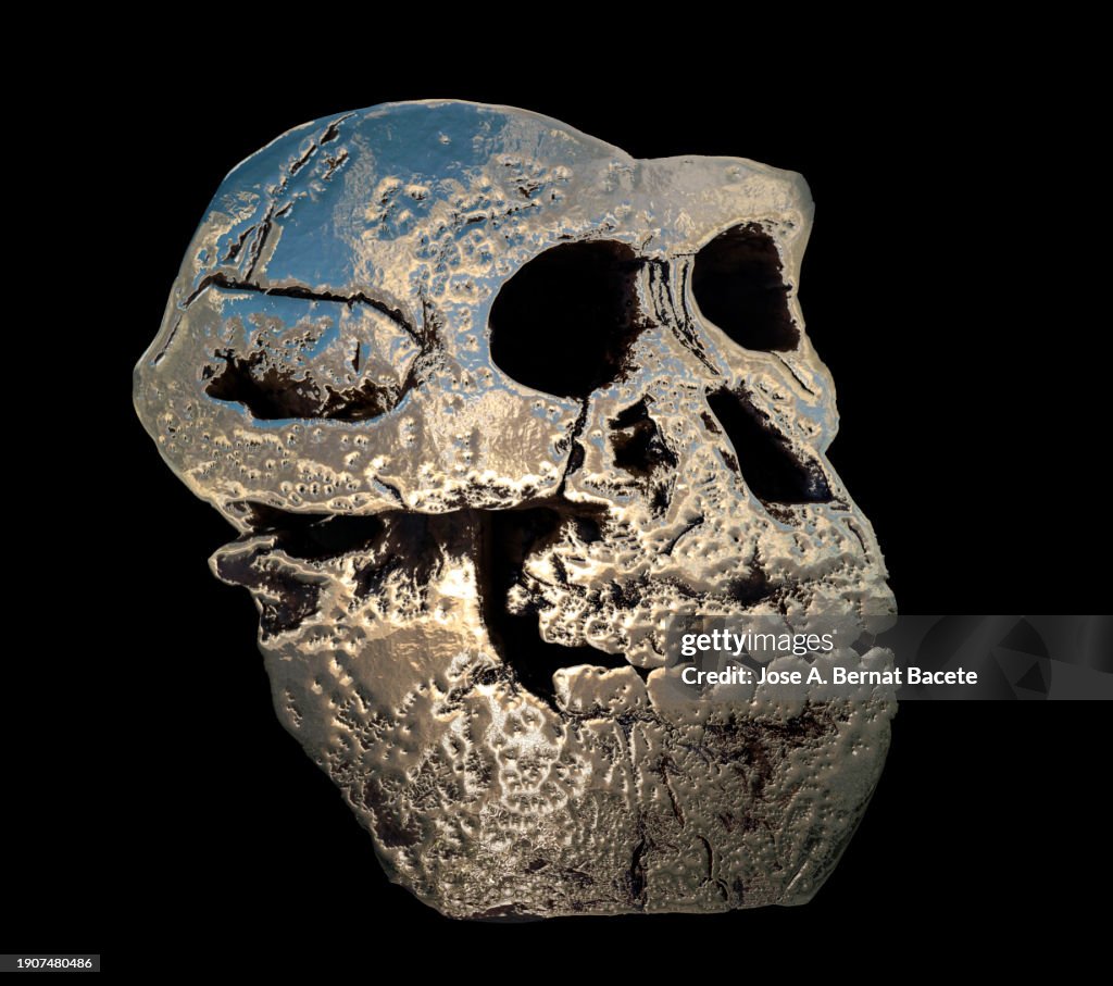 Skull or human mask with a gold metallic shape on a black background.