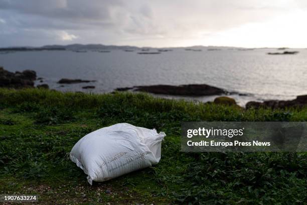 An agent of the Local Police and a coast guard make a collection of pellets from the sand, in Illa de Arousa, on January 4 in Pontevedra, Galicia,...