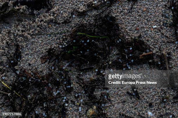 An agent of the Local Police and a coast guard make a collection of pellets from the sand, in Illa de Arousa, on January 4 in Pontevedra, Galicia,...