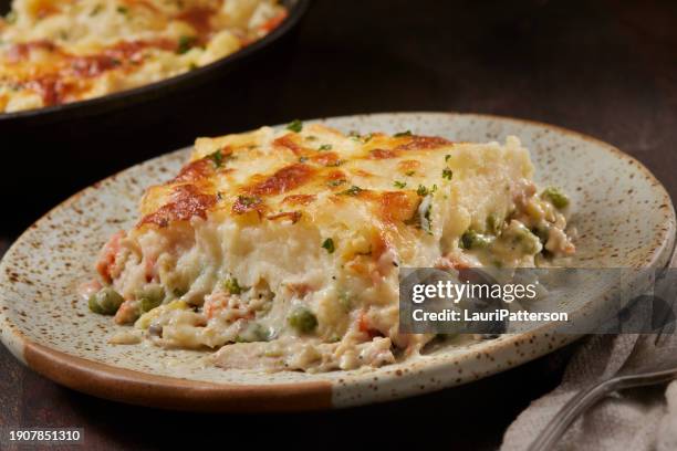 roasted chicken shepherd's pie - cooked turkey on plate stock pictures, royalty-free photos & images