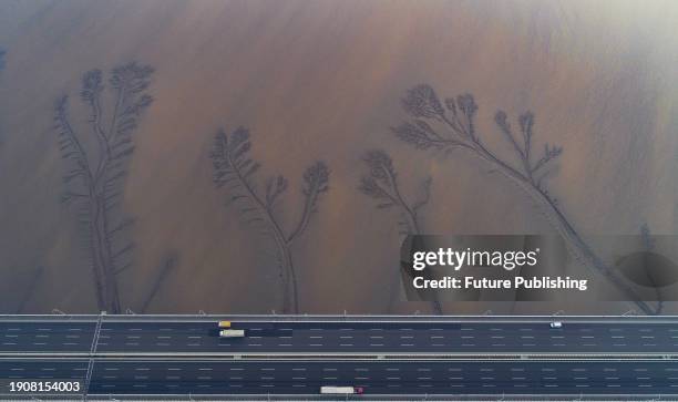View of tree-like traces left by retreated tide on the flat bed of Qiantang River in Jiaxing in east China's Zhejiang province.