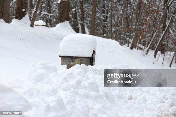 Snow covers people's gardens as a powerful nor'easter and winter storm have affected daily life in Sussex, New Jersey, United States on January 07,...
