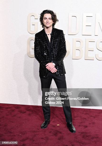 Timothée Chalamet at the 81st Golden Globe Awards held at the Beverly Hilton Hotel on January 7, 2024 in Beverly Hills, California.