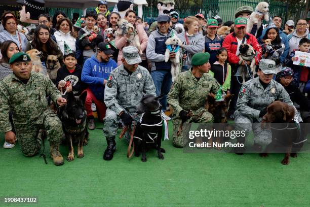 Arkadas , a rescue dog donated by Turkey to Mexico, is being accompanied by his handler ahead of his first birthday celebration at Campo Marte in...