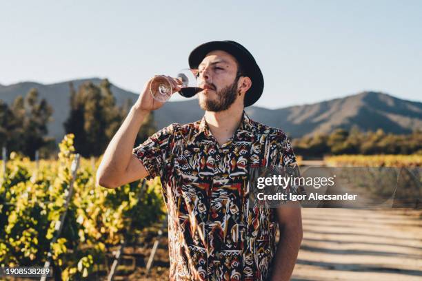 tourist tasting wine in the vineyard - valparaíso chili stockfoto's en -beelden