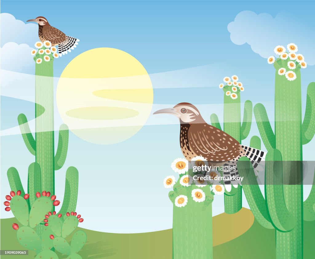 Saguaro Cactus Blossom and Cactus wren