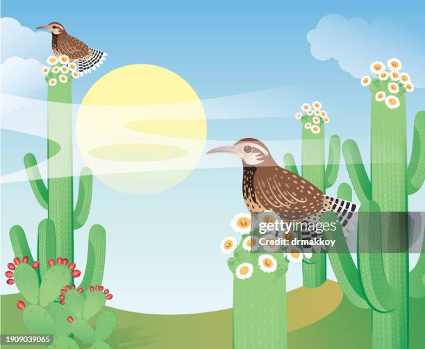 Saguaro Cactus Blossom And Cactus Wren High-Res Vector Graphic