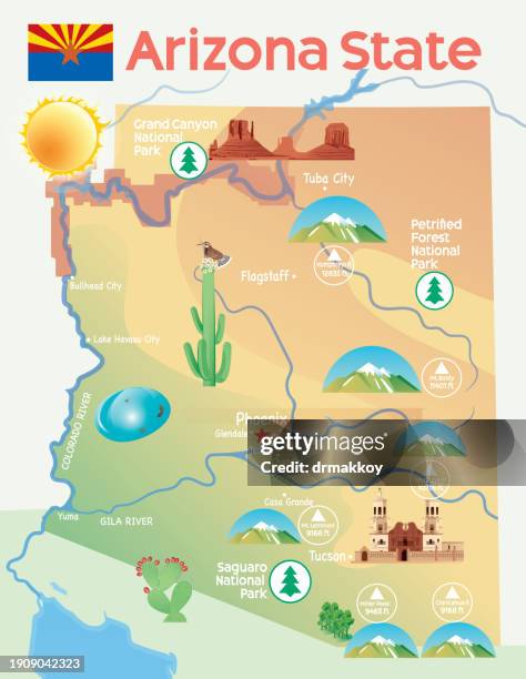 stockillustraties, clipart, cartoons en iconen met arizona state map - sonoran desert tucson