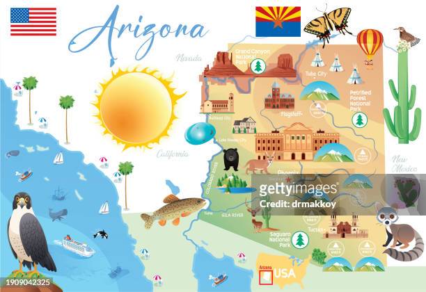 stockillustraties, clipart, cartoons en iconen met arizona state cartoon map - phoenix bird