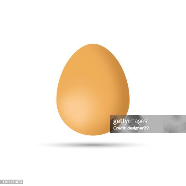 realistic egg vector design on white background. - egg shell stock illustrations