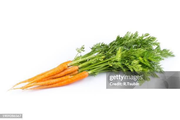 heap of freshly picked carrots isolated on white - carota foto e immagini stock