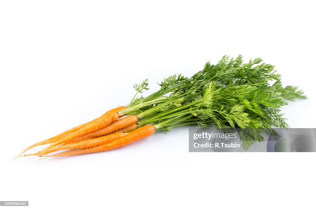 Heap of freshly picked carrots isolated on white