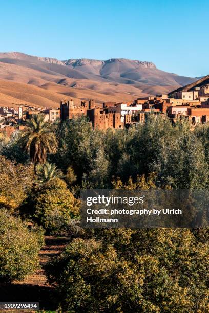 village in dades valley, morocco - atlasgebirge stock-fotos und bilder
