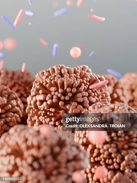 3d render of intestine villi with microbiome - bifidobacterium stock-fotos und bilder
