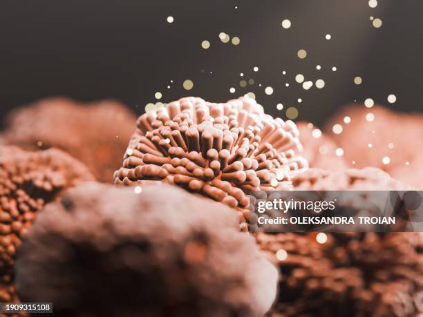 3d render of intestine villi with microbiome - microbiome stock pictures, royalty-free photos & images