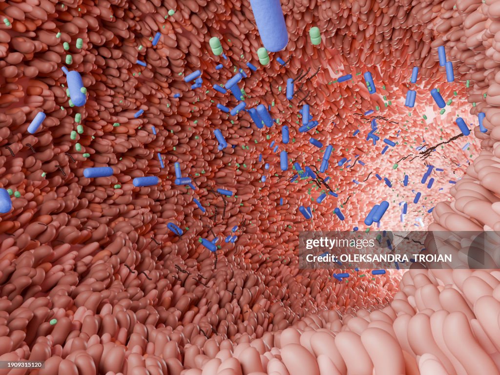 3d render of intestine villi with microbiome