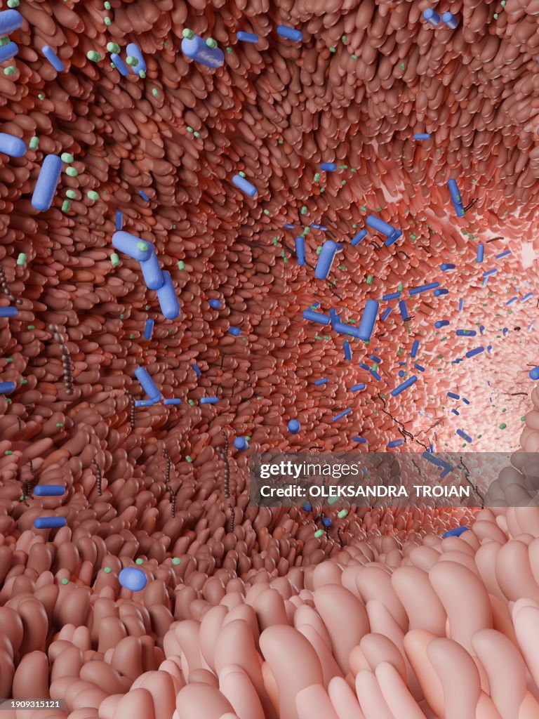 3d render of intestine villi with microbiome