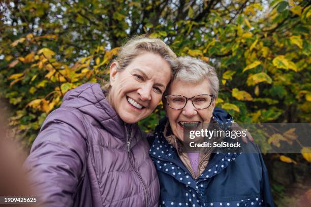 a caring family - een dag uit het leven serie stockfoto's en -beelden