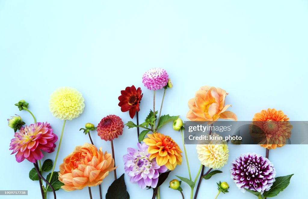 Flower arrangement