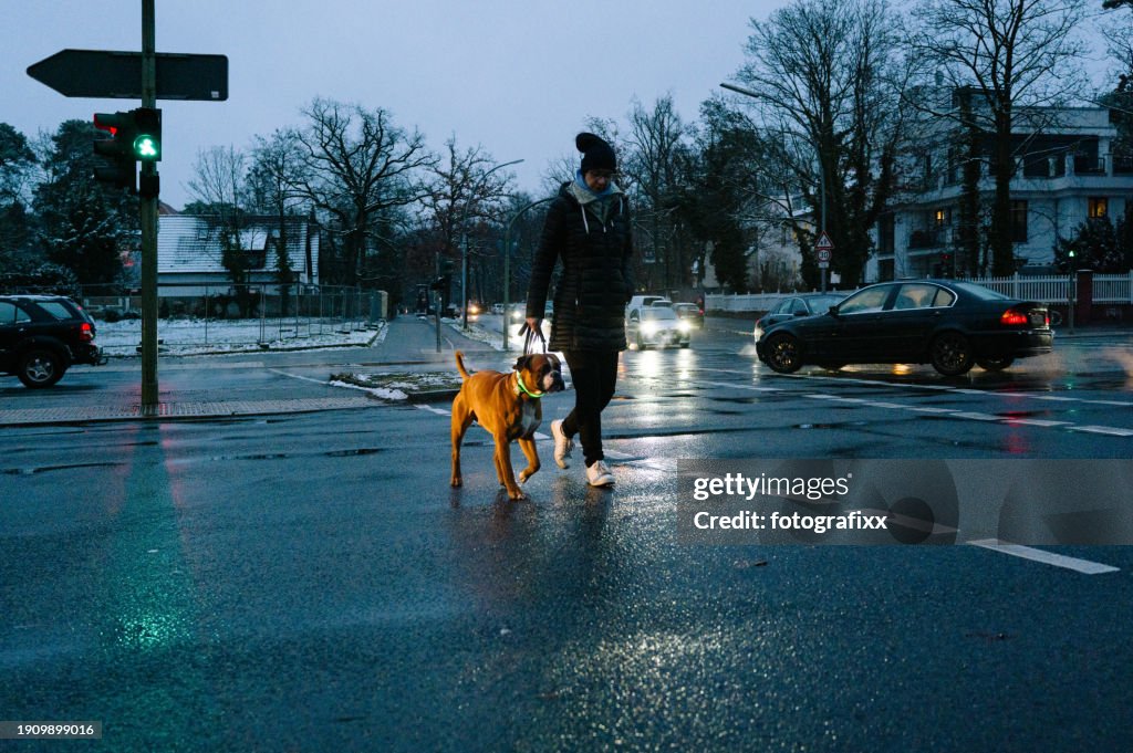 Hundespaziergang bei schlechtem Wetter mit LED-Halsband