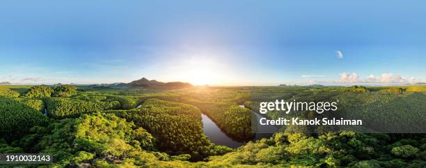 panoramic view of sunrise over tropical rain forest from aerial - paisagem cena não urbana imagens e fotografias de stock