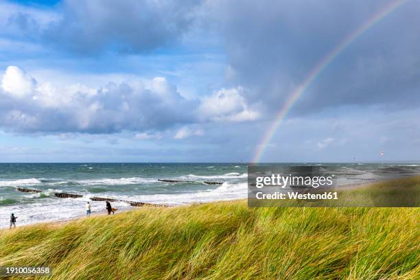 germany, mecklenburg-vorpommern, grassy beach with rainbow arching against cloudy sky over sea in background - mecklenburg vorpommern stock pictures, royalty-free photos & images