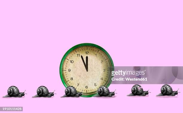 snails crawling near clock against pink background - slow stock-grafiken, -clipart, -cartoons und -symbole