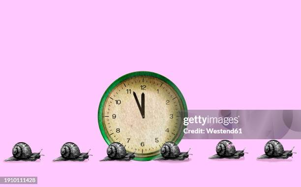 stockillustraties, clipart, cartoons en iconen met snails crawling near clock against pink background - langzaam