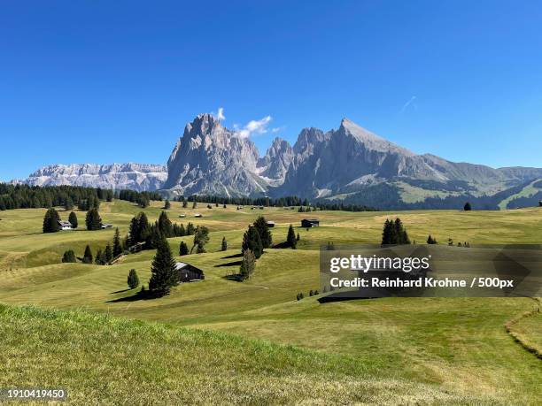 Compatsch Compatsch Photos and Premium High Res Pictures - Getty Images