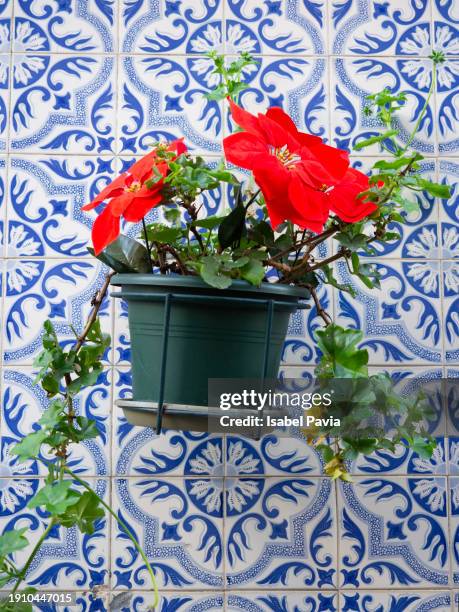 potted plants on a tiles facade - portugal tile stock pictures, royalty-free photos & images