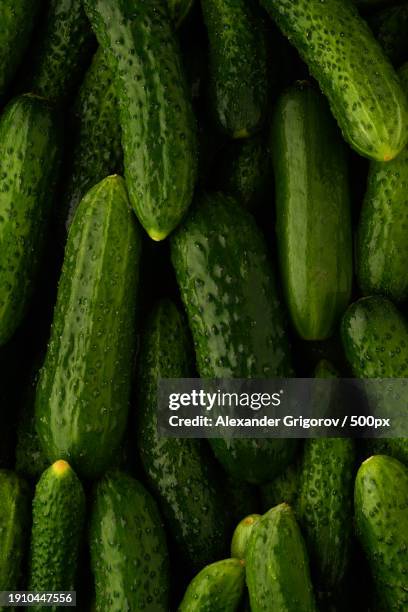 full frame shot of cucumbers - cetriolino foto e immagini stock