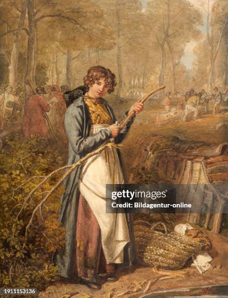 Woman peeling wood to extract the bark as a natural remedy, willow, willow bark, Salix alba, Wychwood Forest, Oxfordshire England, historic,...