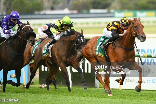 Michael Dee riding Holymanz winning Race 8, the Bet365 Coastal Classic, during Melbourne Racing at Geelong Racecourse on January 06, 2024 in Geelong,...