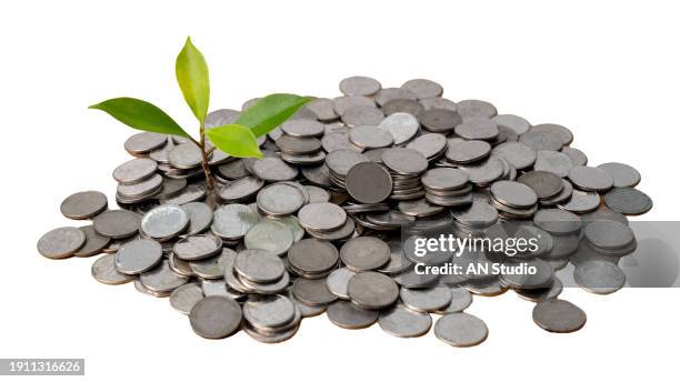 financial business growth tree and coin concept on white background. business ideas. saving money and economic growth. - guyana stock pictures, royalty-free photos & images