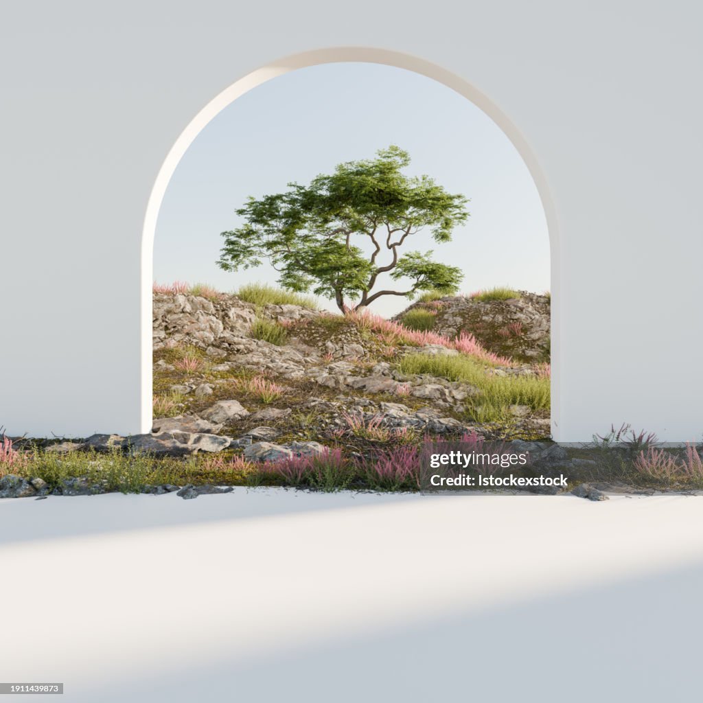 Rocky hill landscape with tree and pink flowers seen through an archway