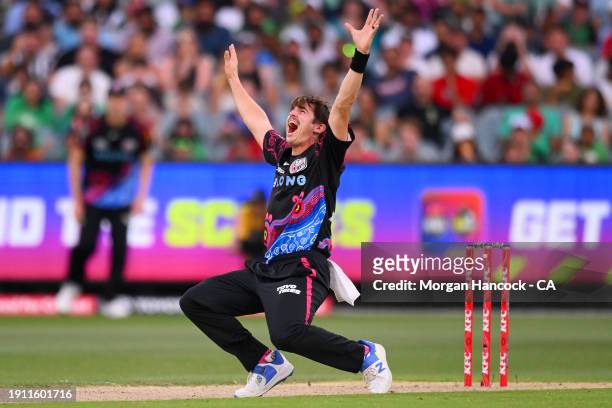 Sean Abbott of the Sixers appeals for the wicket of Dan Lawrence of the Melbourne Stars during the BBL match between Melbourne Stars and Sydney...