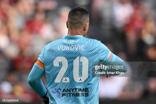 Daniel Vukovic of the Mariners looks on during the A-League Men round 11 match between Western Sydney Wanderers and Central Coast Mariners at...