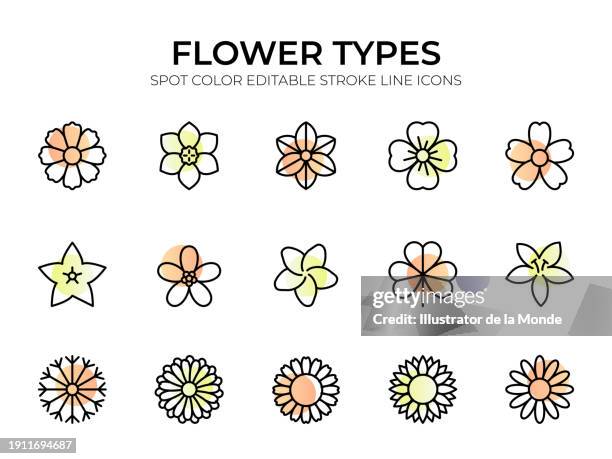 ilustrações de stock, clip art, desenhos animados e ícones de flower types line icon set - dália