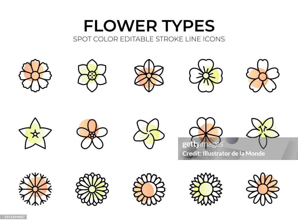 Flower Types Line Icon Set