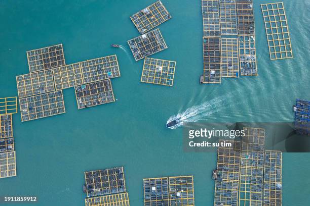 aerial view of floating seafood farms and fishing boats on the sea - temporary office stock pictures, royalty-free photos & images