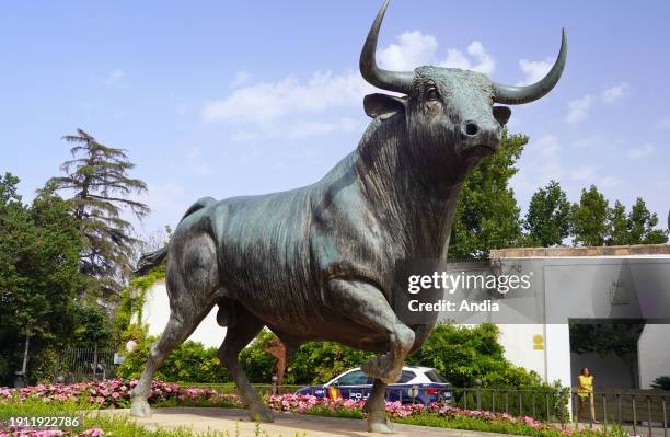 Spain, Andalusia, Ronda: Bronze statue of a fighting bull located in “Plaza del Teniente Arce” square, just behind “Plaza de Toros” square.