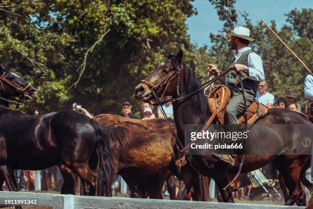 butteri cowboy maremmani a fare rodeo - buttero foto e immagini stock