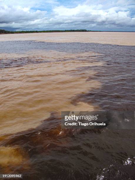meeting of the waters of the negro river with the solimões river, forming the amazon river, near the city of manaus, brazil - solimões river stock pictures, royalty-free photos & images