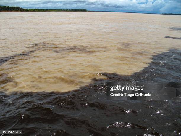 meeting of the waters of the negro river with the solimões river, forming the amazon river, near the city of manaus, brazil - solim�ões river stock pictures, royalty-free photos & images