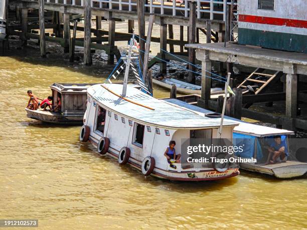 view of the amazon river - molhado stock pictures, royalty-free photos & images