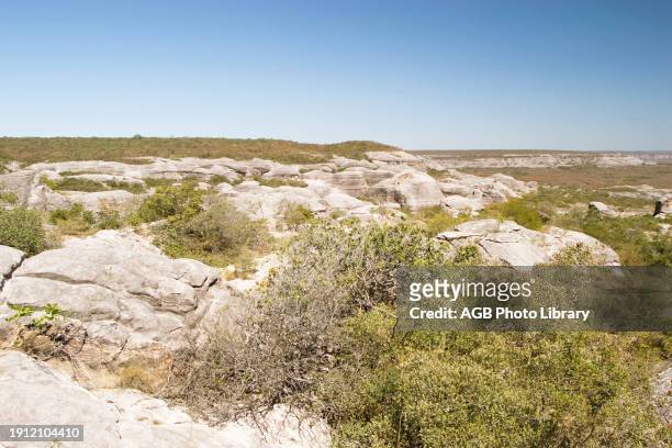 Paisagem com rochas e vegetaçao de caatinga, rocha sedimentar siluriana-devoniana, relictos, Landscape With Rocks and Vegetation of Savanna, Caracol,...