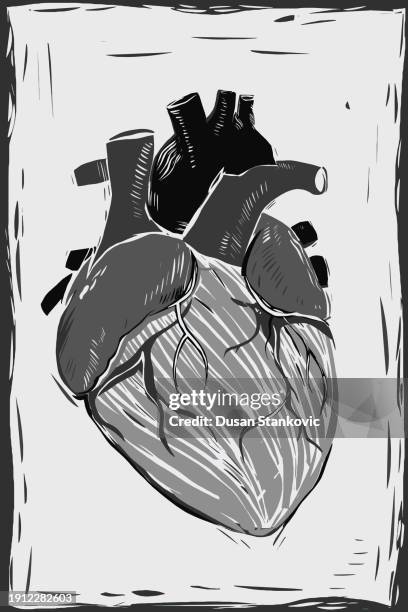 schwarz und weiß menschliches herz - linolschnitt stock-grafiken, -clipart, -cartoons und -symbole