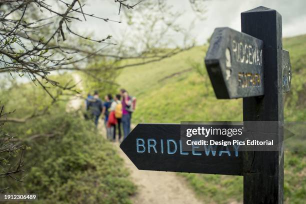 Walking In The English Countryside. Tring, Borough Of Dacorum, Hertfordshire, England.