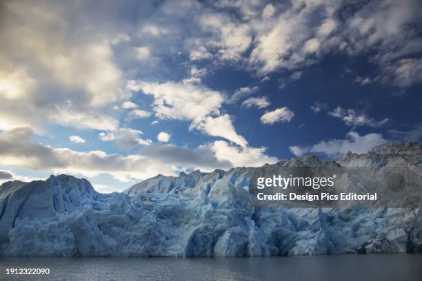 Terminus Of Grey Glacier, Torres Del Paine National Park. Magallanes, Chile.